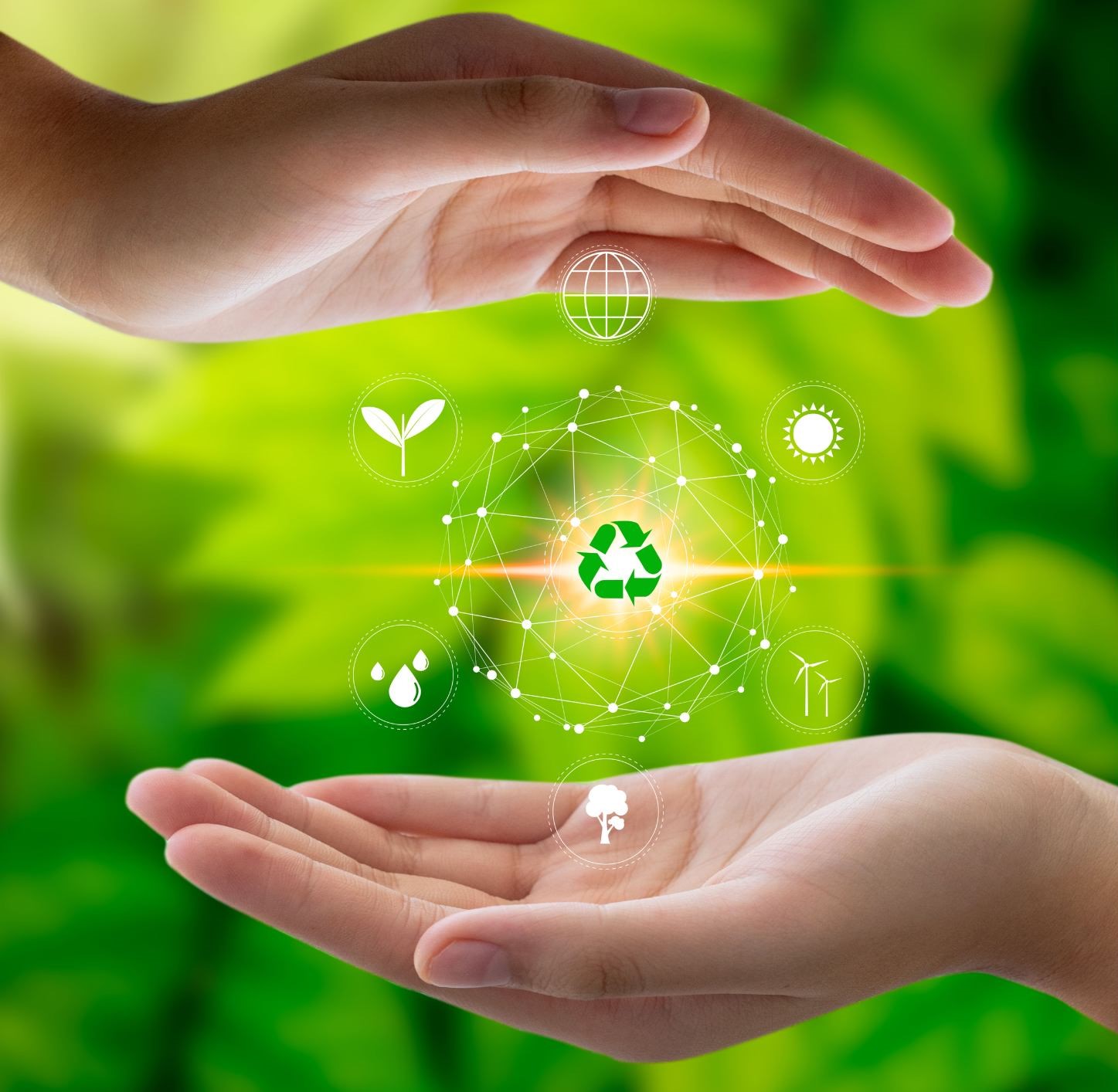 Sensibilisation protection environnement